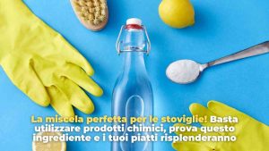 miscela piatti - Adobe Stock - RomagnaWebTv