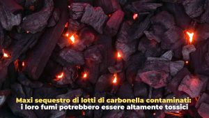 carbonella sequestro - adobe stock - romagnawebtv.it