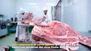 sequestro carne - adobe stock - romagnawebtv.it