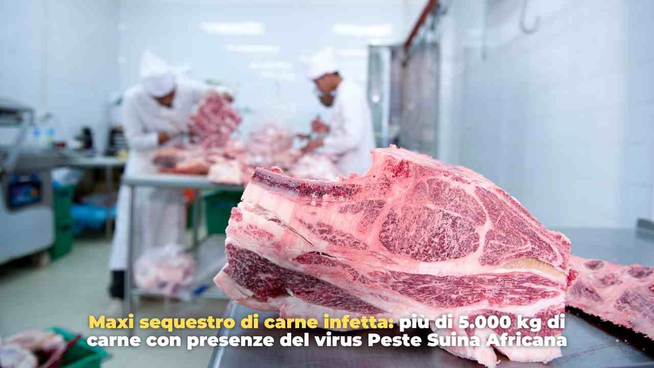 sequestro carne - adobe stock - romagnawebtv.it 