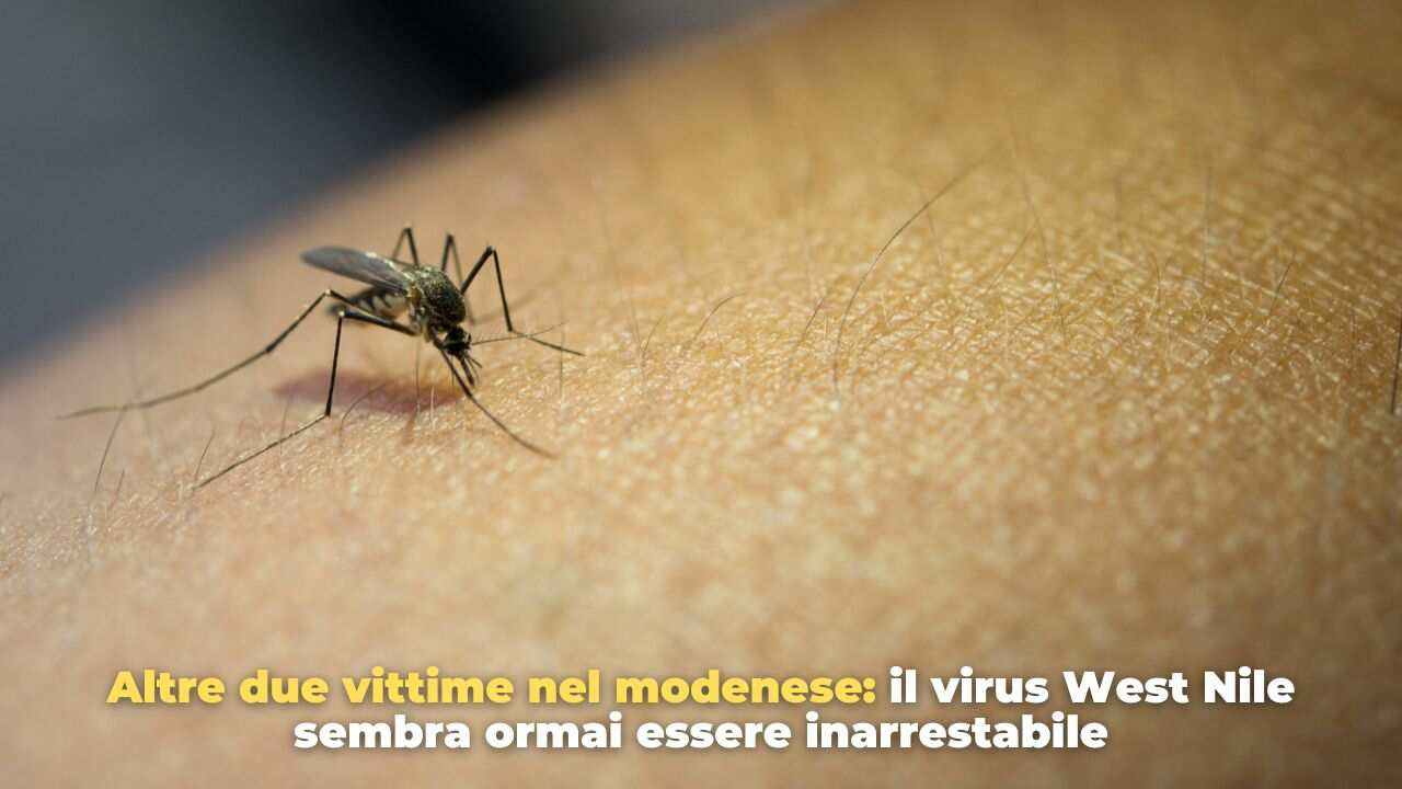 virus west nile -freepik - Romagnawebtv.it