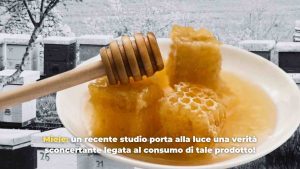 consumo miele - mashup - Romagnawebtv.it